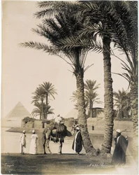 Palmulehto Egyptin pyramidien juurella - valokuva Zangali-veljistä, 1800-luvun loppu