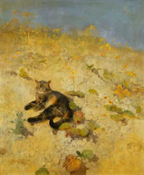 Kissa paistattelee auringossa