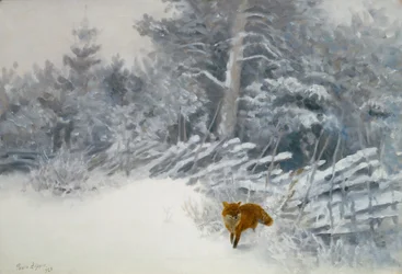 Kettu talvimetsissä