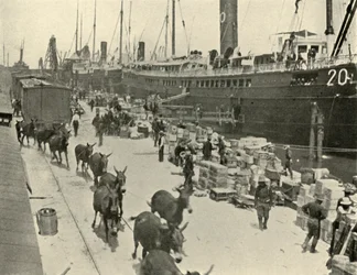 Joukkolaivat Port Tampassa, Floridassa, Yhdysvalloissa, Espanjan ja Amerikan sota, 10. kesäkuuta 1898, 1899.