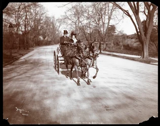 Anna Held ja Florenz Ziegfeld ajamassa hevoskärryä, New York, 1904 (hopeagelatiiniprintti)