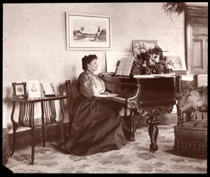 Madame Frances Saville kotona, 1895 (hopeagelatiinivedos)