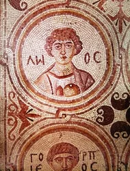 Vuoden kuukausi (mosaiikki)