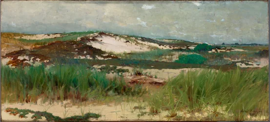Nantucketin hiekkadyynit