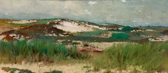 Nantucket Sand Dune, n. 1890.