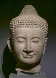 Tuntematon kuva