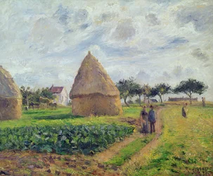 Heinäpinot (öljy)