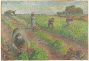 The Beet Harvest, 1881 (guassi grafiitin päällä pellavalla)