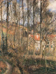 Côte des Bœufs L