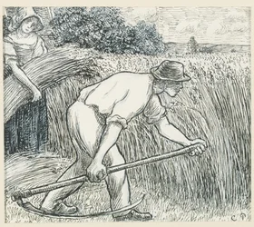 The Harvest, n. 1895 (kynä ja muste lyijyvalkoisella guassilla paperilla)