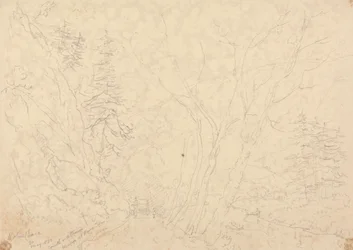 Holne Chase, 30 de maio de 1833 finlandês