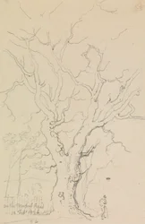 Newport Roadilla, 12. helmikuuta 1826