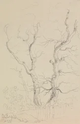 Newport Roadilla, Isle of Wightilla