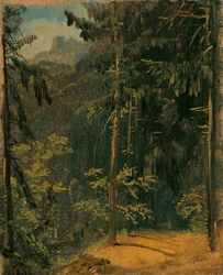 Metsäpolku Harzissa