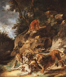 Leijona ajamassa leopardiparia kuolleelta polttarelta,