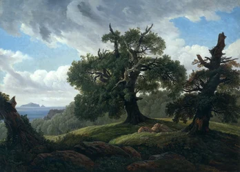 Muisto metsäisestä saaresta Itämerellä, tammia meren rannalla, 1835