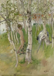 Alastonpoika koivujen keskellä, 1898 (wc paperilla)