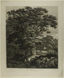 Uimarit