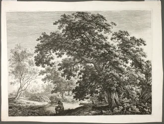 Kalastaja metsäisessä maisemassa