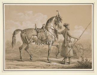 Mameluke ja Arabian hevonen