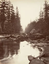 Merced River, Yosemite, n. 1872, painettu n. 1876.