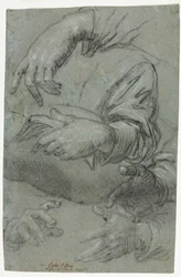 Käsien opinnot (recto)