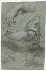 Studies of Hands recto, n. 1586.