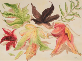 Autumn Leaves, 1993 (wc paperilla)