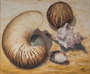 Simpukoita, 1993 (öljy paperille)