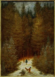 Jääkäri metsässä (luminen kuusimetsä, kuusimetsä)