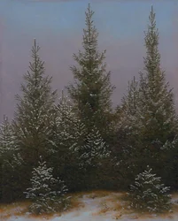 Lumessa oleva kuusimetsikkö (Teoksesta »Dresdner Heide I«)