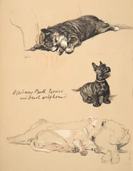 Aberdeens, Bull-terrieri ja Irlanninsusikoira, 1930, Kuvituksia hänen luonnoskirjastaan, jota käytettiin vain ystävien keskuudessa, Aldin, Cecil Charles Windsor (1870-1935), myöhemmin julkaisijat Eyre ja Spottiswoode Li