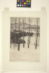 Vuori (muste)