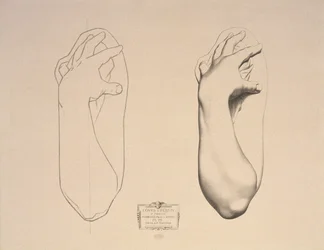 Bent Arm of a Woman, levy 22, Cours de Dessin Volume I, Modeles dapres la bosse, n. 1868