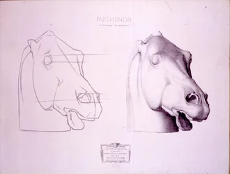 Hevosen pää Parthenonin länsipäädystä, levy 47 Cours de Dessinistä, n. 1898