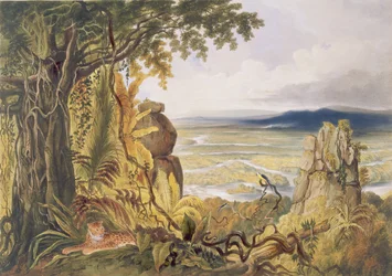 Comuti- tai Taquiare-kallio Essequibo-joen varrella, kuvasta "Views in the Interior of Guiana", kaiverrettu George Barnardin (1832-90) kaiverruksesta, julkaissut Ackermann, 1840.