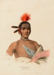 MOA-NA-HON-GA. SUURI KÄVELIJÄ. AN IOWAY CHIEF., kirjasta History of the Indian Tribes of North America.