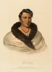 ONG PA TON GA. CHIEF OF THE OMAHAS., from History of the Indian Tribes of North America.