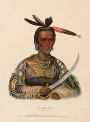 TO-KA-CON. A SIOUX CHIEF., kirjasta History of the Indian Tribes of North America.