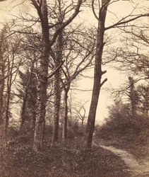 Talvi, 1855.