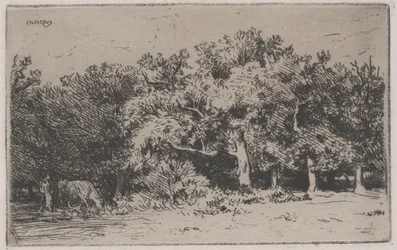 Fontainebleaun metsän kulma (etsaus)