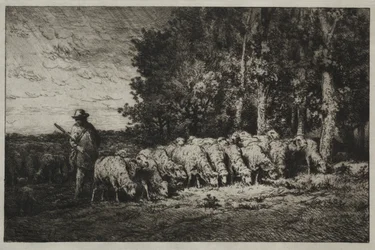 Lauma metsän reunalla