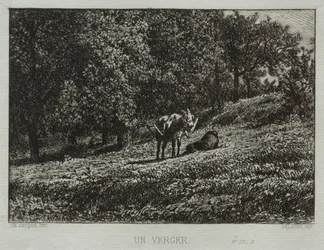 Orchard.