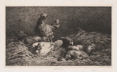 Chickens Poutes, 1867.
