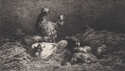 Kanat, 1867.