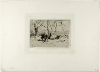 lampaat