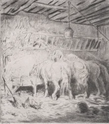 Talli, 1848.