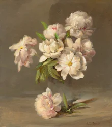 Pionit maljakossa, noin 1885 (öljy kankaalle).