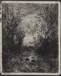Stream in a Glade
