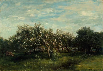 Omenankukkia, 1873.